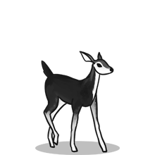 去哪买最便宜的{固定网站名称23}